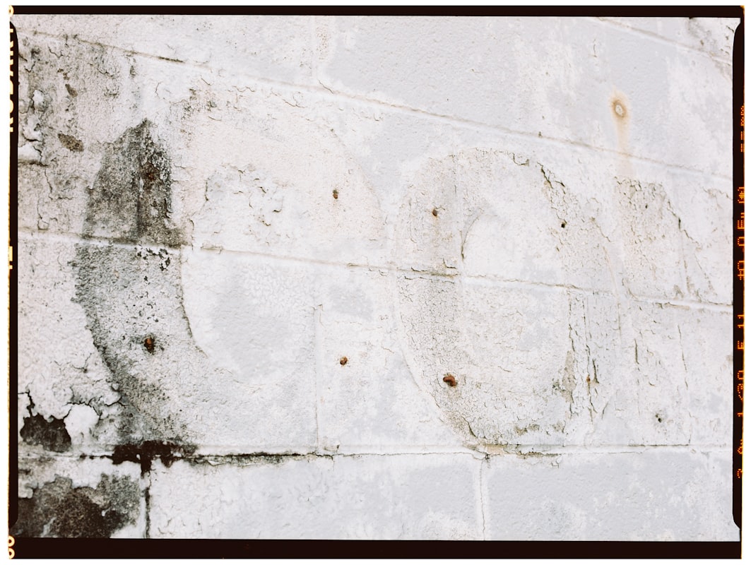 Basement Water Removal service in Jacksonville, FL