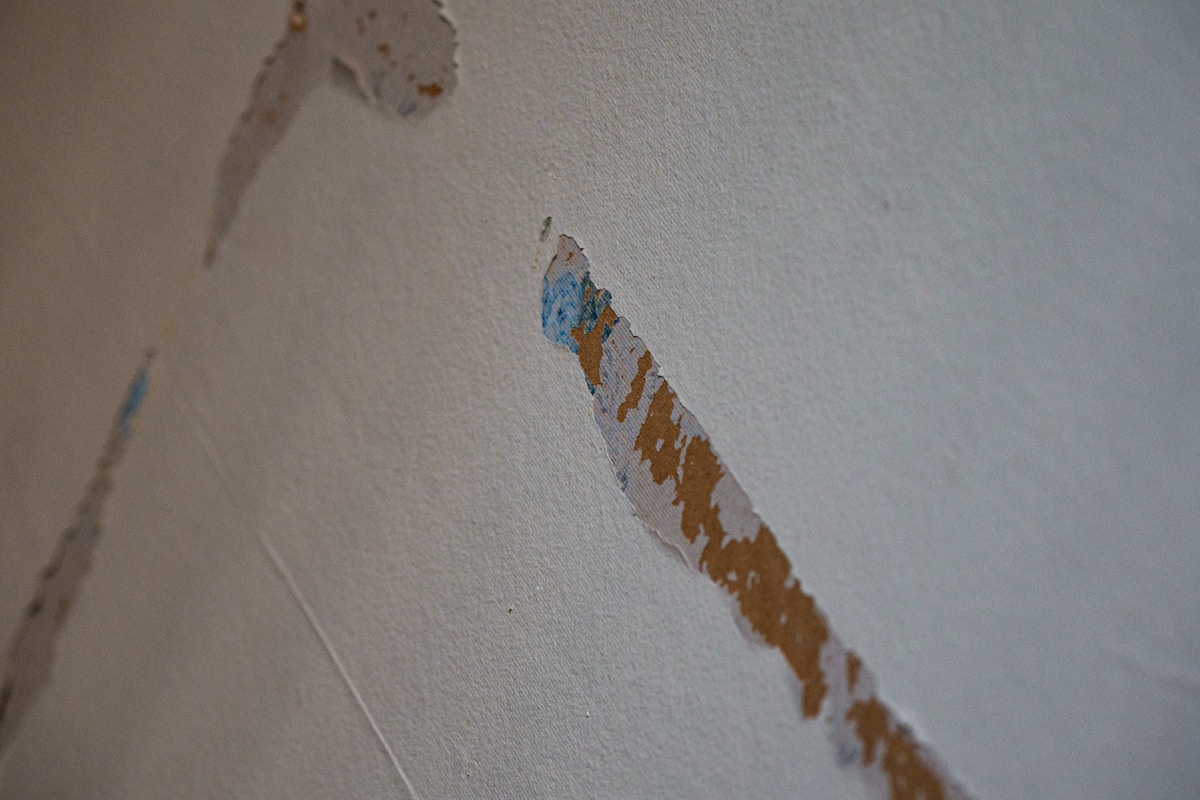 Water Extraction service in Jacksonville, FL